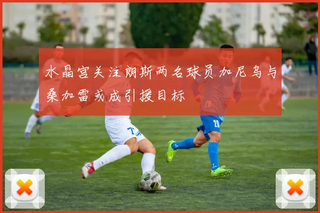 水晶宫关注朗斯两名球员加尼乌与桑加雷或成引援目标