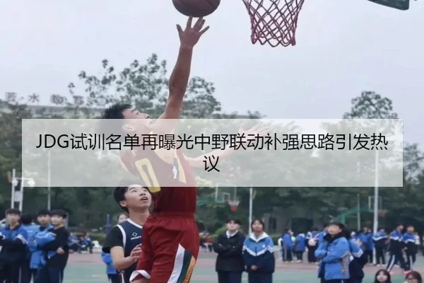 JDG试训名单再曝光中野联动补强思路引发热议